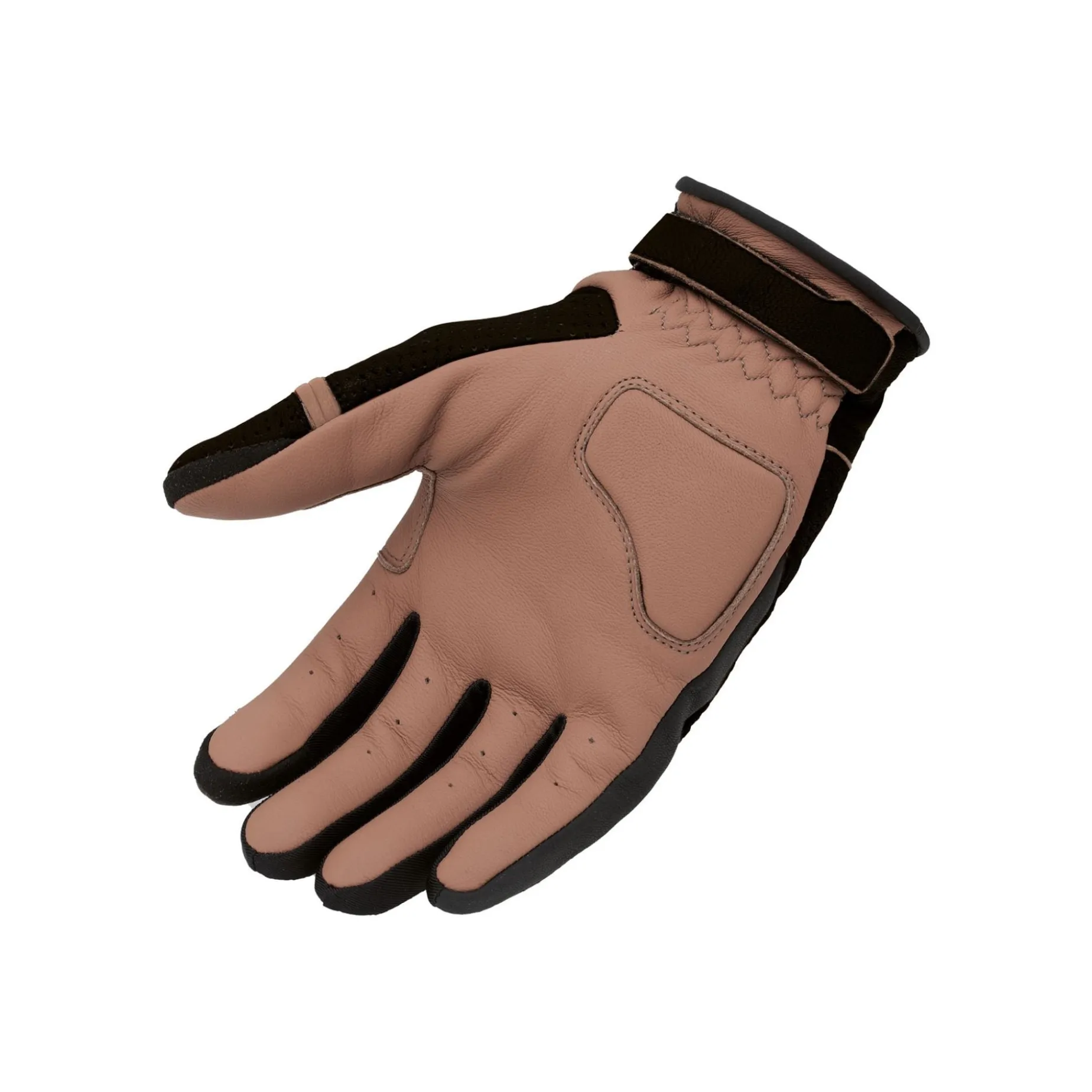Gant ELISIO